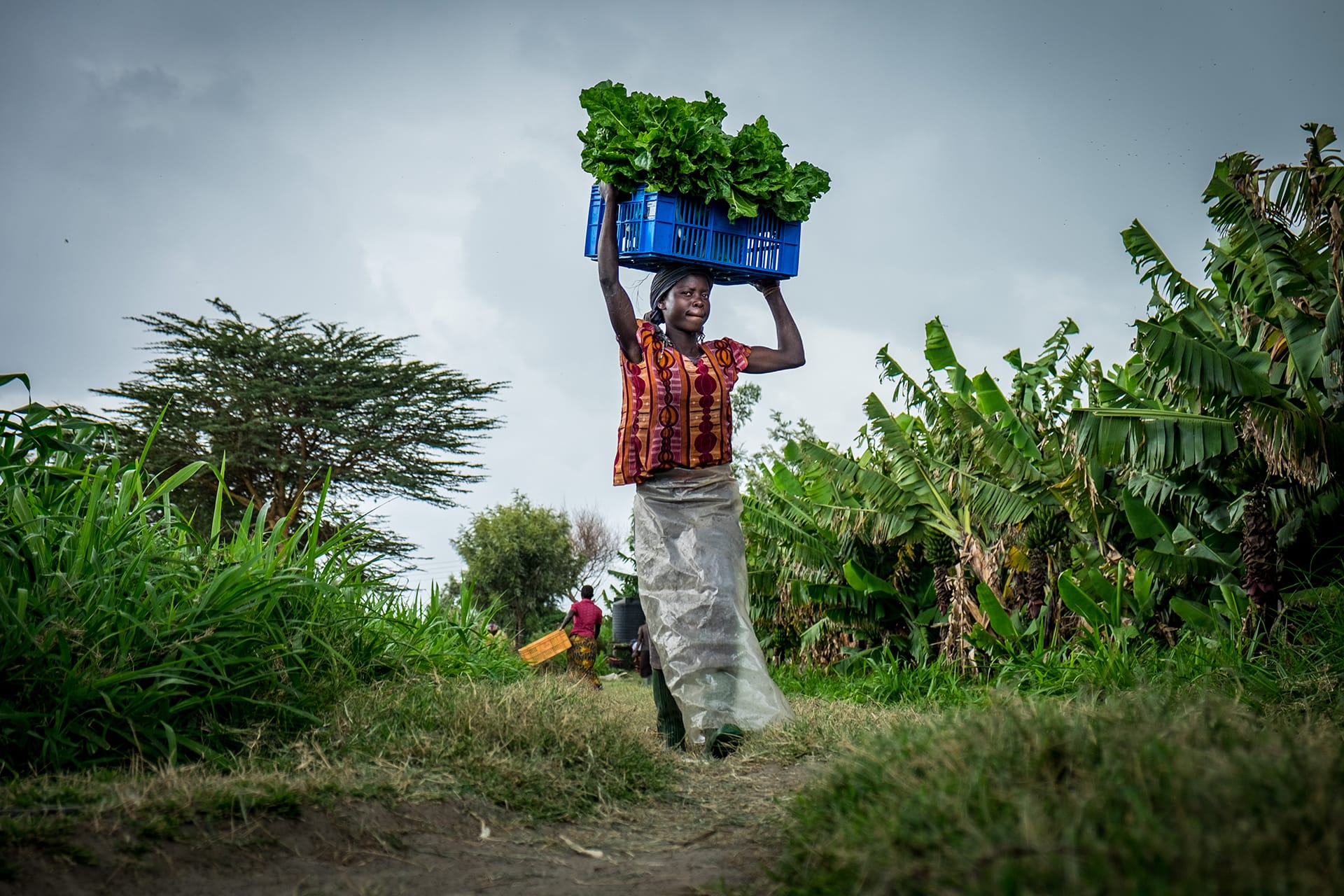 Vie au Bénin