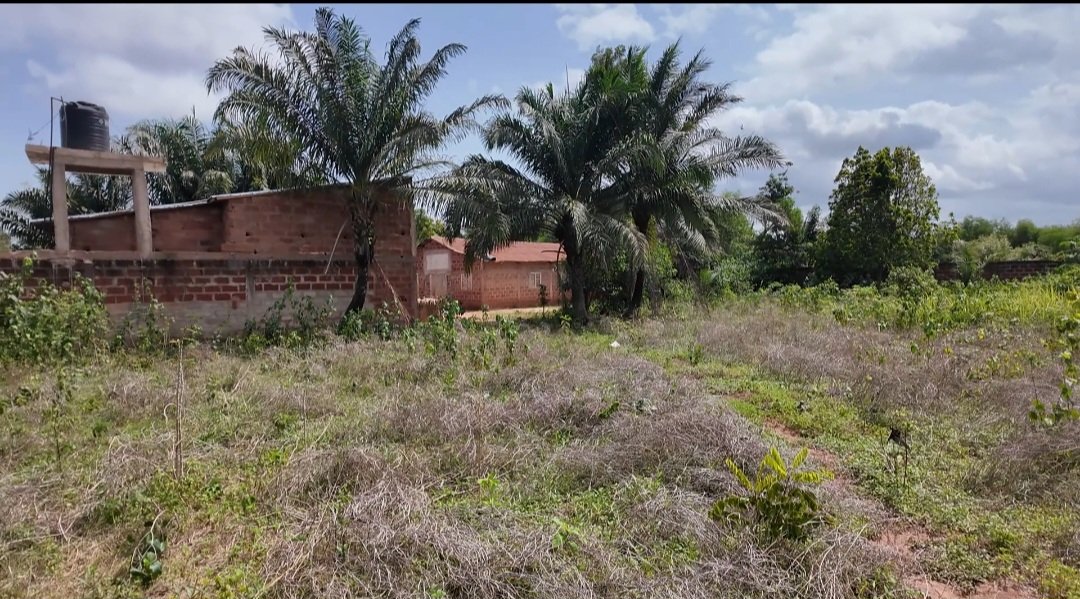 Parcelle partout au Bénin